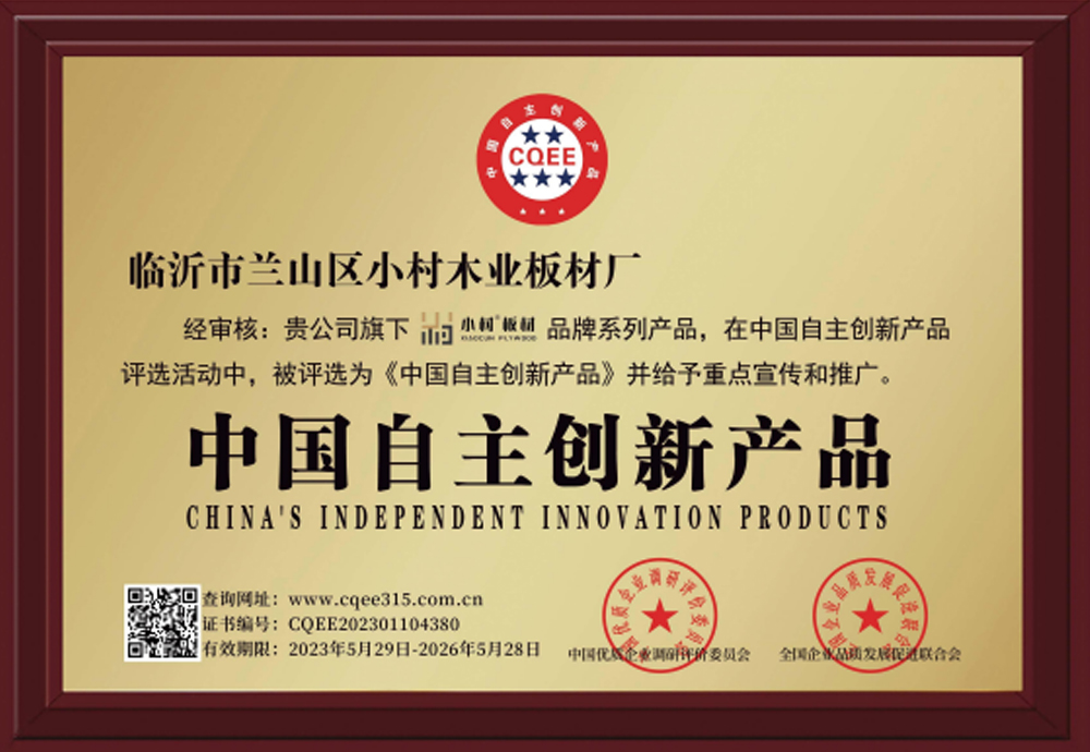 中国自主创新产品